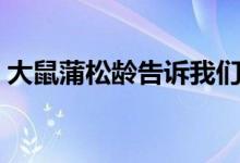 大鼠蒲松龄告诉我们什么道理（大鼠蒲松龄）