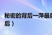秘密的背后一萍最后和谁在一起了（秘密的背后）