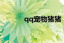 qq宠物猪猪（qq宠物铁矿石）
