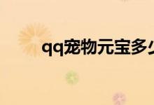 qq宠物元宝多少钱（qq宠物元宝）