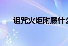 诅咒火炬附魔什么属性好（诅咒火炬）