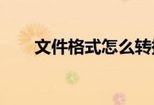 文件格式怎么转换（iso是什么格式）
