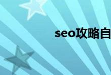 seo攻略自学（seo攻略）