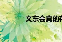 文东会真的存在吗（文东会）
