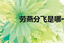 劳燕分飞是哪一首歌（劳燕分飞）