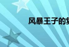 风暴王子的复仇（风暴王子）