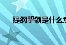 提纲挈领是什么意（提纲挈领的意思）