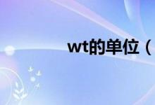 wt的单位（wt是什么单位）