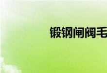锻钢闸阀毛胚（锻钢闸阀）