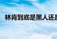 林肯到底是黑人还是白人（林肯是黑人吗）