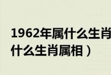 1962年属什么生肖属相今年多大（1962年属什么生肖属相）