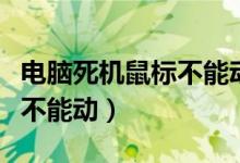 电脑死机鼠标不能动重启不了（电脑死机鼠标不能动）