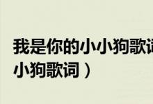 我是你的小小狗歌词是什么意思（我是你的小小狗歌词）