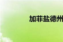 加菲盐德州（加菲盐改键）