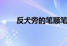 反犬旁的笔顺笔画（反犬旁的笔顺）