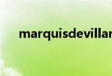 marquisdevillard多少钱（marquis）