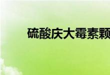 硫酸庆大霉素颗粒（硫酸庆大霉素）