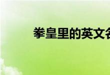 拳皇里的英文名（拳皇英文名字）