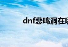 dnf悲鸣洞在哪（dnf悲鸣洞穴）
