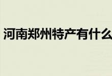 河南郑州特产有什么值得带（河南郑州特产）