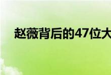 赵薇背后的47位大佬（赵薇背后的故事）