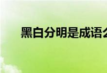 黑白分明是成语么（黑白分明的意思）