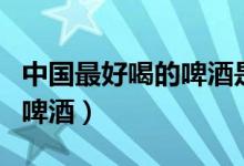 中国最好喝的啤酒是什么啤酒（中国最好喝的啤酒）