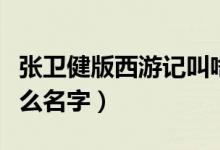 张卫健版西游记叫啥名（张卫健版西游记叫什么名字）