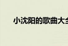 小沈阳的歌曲大全视频（小沈阳的歌）