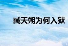 臧天朔为何入狱（臧天朔为什么入狱）