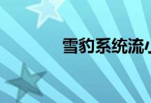 雪豹系统流小说（雪豹系统）