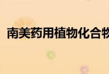 南美药用植物化合物显示出抗癌干细胞活性