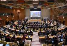 加速可持续未来｜2025联合国青年论坛边会成功举办，青年先锋共绘绿色创新与全球合作愿景